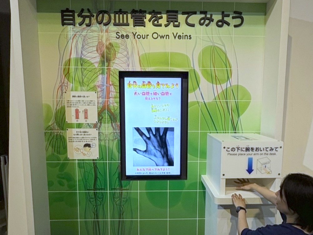 名古屋市科学館の「自分の血管を見てみよう」の展示に弊社カメラが採用されました。